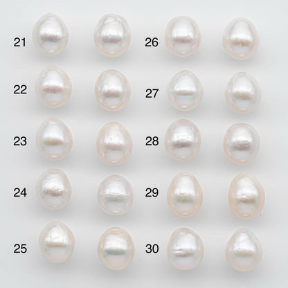10-11mm Matching Pair Edison Pearl Undrilled with Natural Color and High Luster for Making Earring, SKU # 2592EP