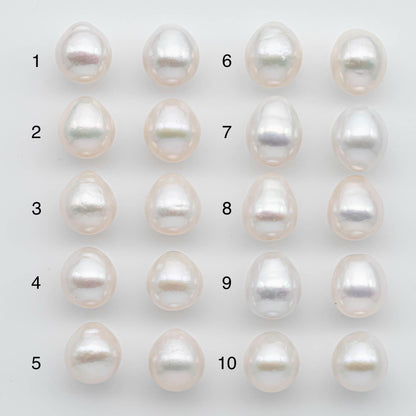 11.25-11.5mm Matching Pair  Edison Pearl Undrilled with Natural Color and High Luster for Making Earring, SKU # 2593EP