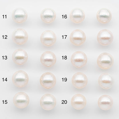 12-13mm Edison Pearls – Matching Loose Pair, White with Blemishes (Best for Stud Earrings), SKU #2599EP