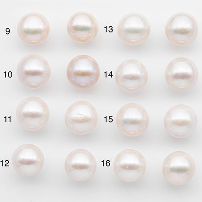 15-16mm Matching Pair Edison Pearls – White with Blemishes (Best for Stud Earrings), Undrilled, SKU #2607EP
