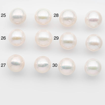 15-16mm Matching Pair Edison Pearls – White with Blemishes (Best for Stud Earrings), Undrilled, SKU #2607EP
