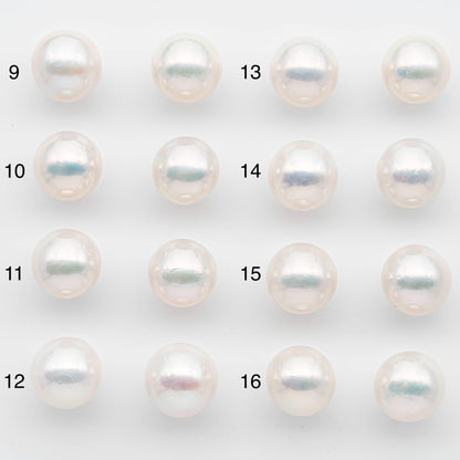 14-15mm Matching Pair Edison Pearls – White with Blemishes (Best for Stud Earrings), Undrilled, SKU #2609EP