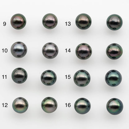 9-10mm Matching Pair Near Round Tahitian Pearl in High Luster, Undrilled for Making Earring or Pendant, SKU # 2541TH