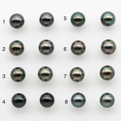 9-10mm Matching Pair Near Round Tahitian Pearl in High Luster, Undrilled for Making Earring or Pendant, SKU # 2541TH