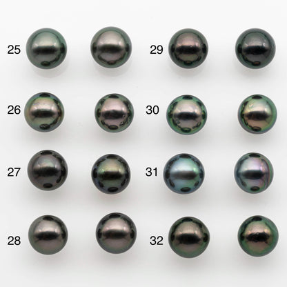 10-11mm Matching Pair Near Round Tahitian Pearl in High Luster, Undrilled for Making Earring or Pendant, SKU # 2542TH