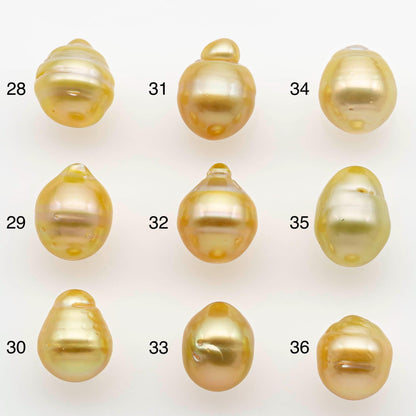 9-10mm South Sea Pearl, Gold Drop Single Piece Nondrilled with High Luster and Minor Blemishes for Jewelry Making, SKU # 2553GS