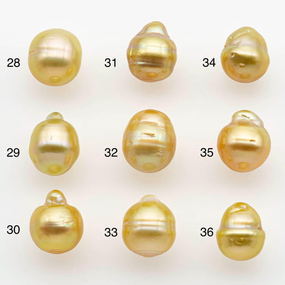 9-10mm South Sea Pearl, Gold Drop Single Piece Nondrilled with High Luster and Minor Blemishes for Jewelry Making, SKU # 2554GS