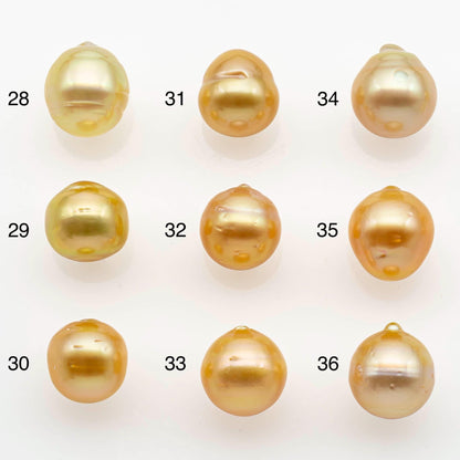 9-10mm South Sea Pearl, Gold Single Piece Nondrilled with High Luster and Minor Blemishes for Jewelry Making, SKU # 2555GS