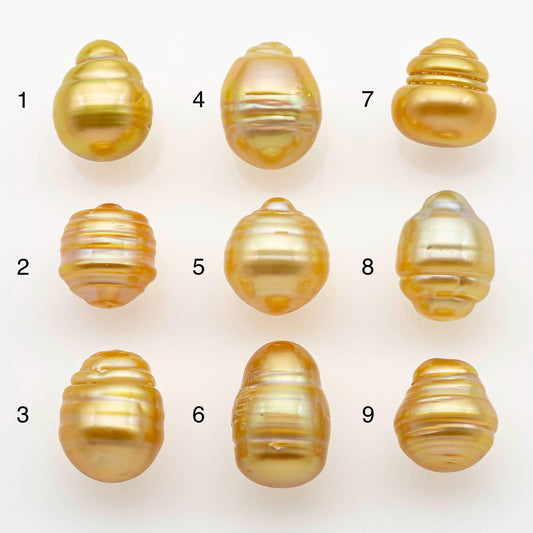 10-11mm South Sea Pearl, Gold Drop Single Piece Nondrilled with High Luster and Minor Blemishes for Jewelry Making, SKU # 2556GS