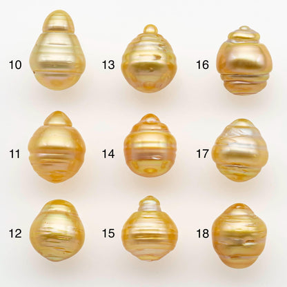 10-11mm South Sea Pearl, Gold Drop Single Piece Nondrilled with High Luster and Minor Blemishes for Jewelry Making, SKU # 2556GS