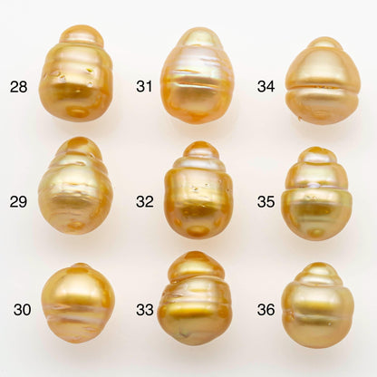 10-11mm South Sea Pearl, Gold Drop Single Piece Nondrilled with High Luster and Minor Blemishes for Jewelry Making, SKU # 2558GS