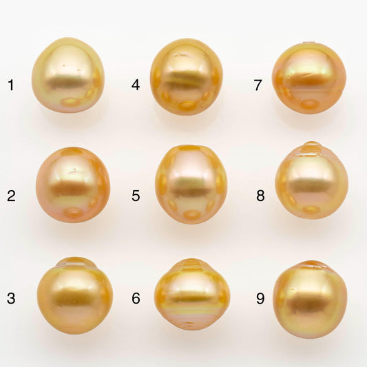 10-11mm South Sea Pearl, Gold Drop Single Piece Nondrilled with High Luster and Minor Blemishes for Jewelry Making, SKU # 2566GS
