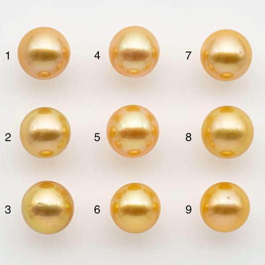 10-11mm South Sea Pearl, Gold Round Single Piece Nondrilled with High Luster and Minor Blemishes for Jewelry Making, SKU # 2567GS