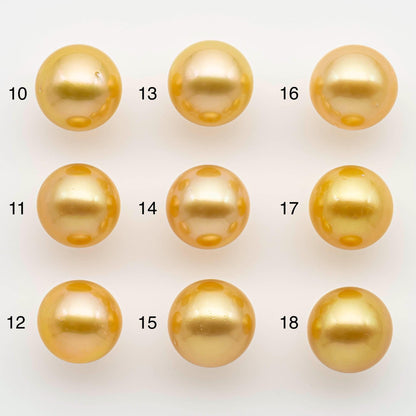 11-12mm South Sea Pearl, Gold Round Single Piece Nondrilled with High Luster and Minor Blemishes for Jewelry Making, SKU # 2568GS
