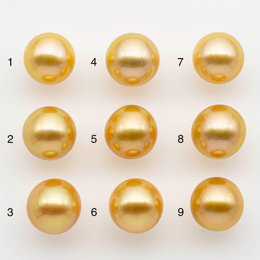 11-12mm South Sea Pearl, Gold Round Single Piece Nondrilled with High Luster and Minor Blemishes for Jewelry Making, SKU # 2568GS