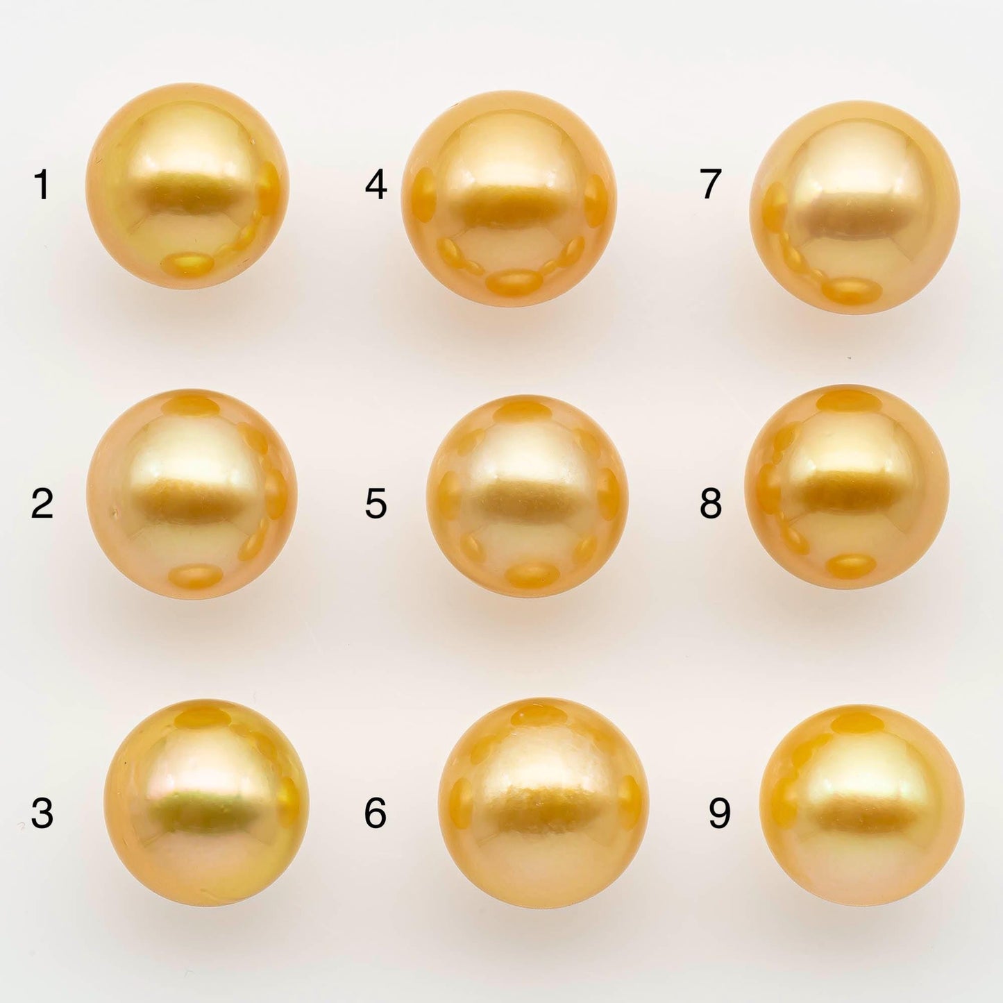 12-13mm South Sea Pearl, Gold Round Single Piece Nondrilled with High Luster and Minor Blemishes for Jewelry Making, SKU # 2569GS