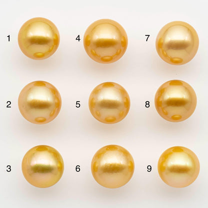 12-13mm South Sea Pearl, Gold Round Single Piece Nondrilled with High Luster and Minor Blemishes for Jewelry Making, SKU # 2569GS