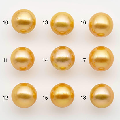 12-13mm South Sea Pearl, Gold Round Single Piece Nondrilled with High Luster and Minor Blemishes for Jewelry Making, SKU # 2569GS