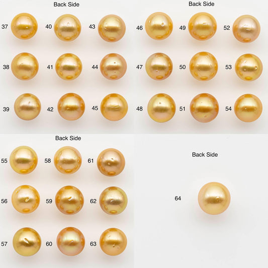 12-13mm South Sea Pearl, Gold Round Single Piece Nondrilled with High Luster and Minor Blemishes for Jewelry Making, SKU # 2569GS