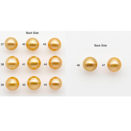12-13mm South Sea Pearl, Gold Round Single Piece Nondrilled with High Luster and Minor Blemishes for Jewelry Making, SKU # 2570GS