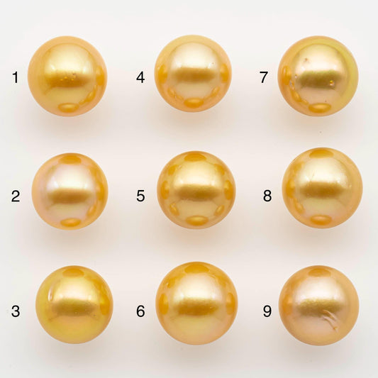 12-13mm South Sea Pearl, Gold Round Single Piece Nondrilled with High Luster and Minor Blemishes for Jewelry Making, SKU # 2570GS