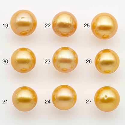 12-13mm South Sea Pearl, Gold Round Single Piece Nondrilled with High Luster and Minor Blemishes for Jewelry Making, SKU # 2570GS