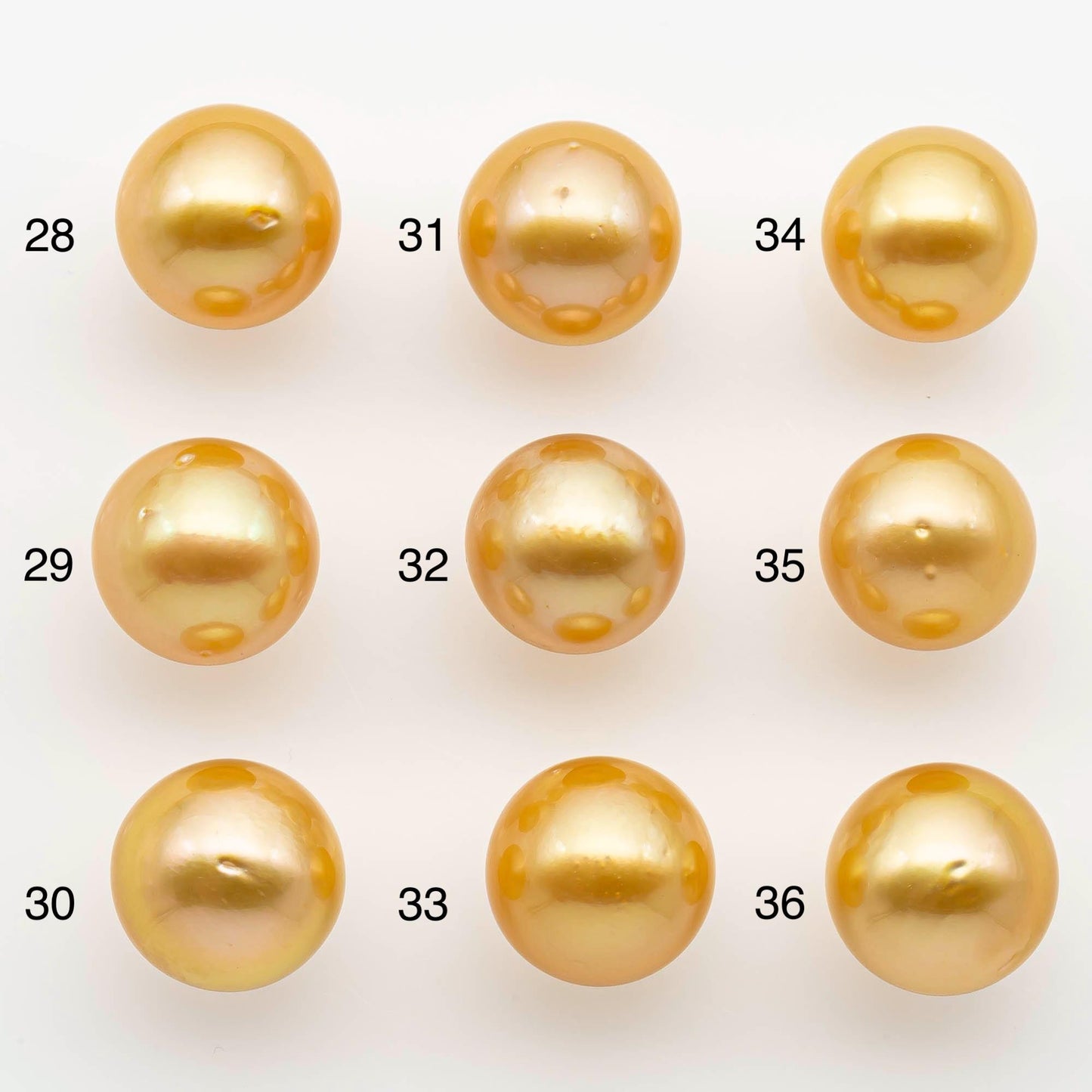 12-13mm South Sea Pearl, Gold Round Single Piece Nondrilled with High Luster and Minor Blemishes for Jewelry Making, SKU # 2570GS
