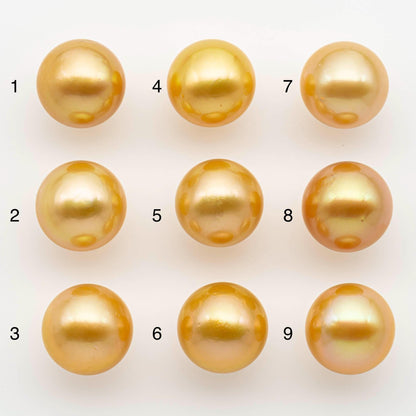 13-14mm South Sea Pearl, Gold Round Single Piece Nondrilled with High Luster and Minor Blemishes for Jewelry Making, SKU # 2571GS