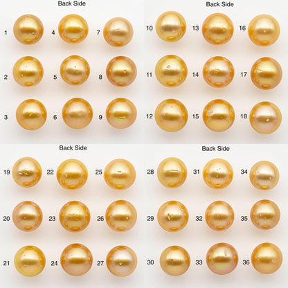 13-14mm South Sea Pearl, Gold Round Single Piece Nondrilled with High Luster and Minor Blemishes for Jewelry Making, SKU # 2571GS