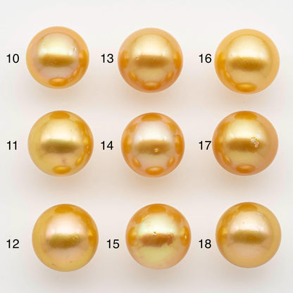 13-14mm South Sea Pearl, Gold Round Single Piece Nondrilled with High Luster and Minor Blemishes for Jewelry Making, SKU # 2571GS