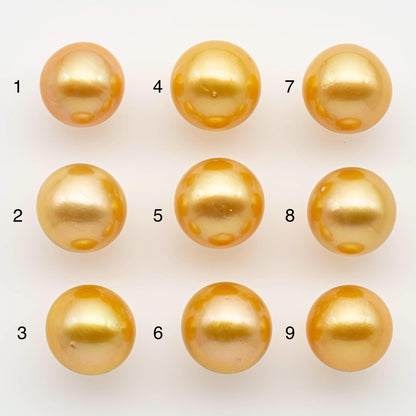 13-14mm South Sea Pearl, Gold Round Single Piece Nondrilled with High Luster and Minor Blemishes for Jewelry Making, SKU # 2572GS