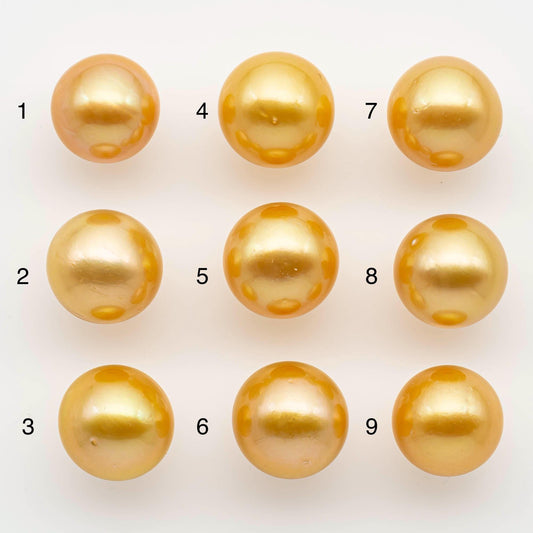 13-14mm South Sea Pearl, Gold Round Single Piece Nondrilled with High Luster and Minor Blemishes for Jewelry Making, SKU # 2572GS