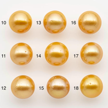 13-14mm South Sea Pearl, Gold Round Single Piece Nondrilled with High Luster and Minor Blemishes for Jewelry Making, SKU # 2572GS