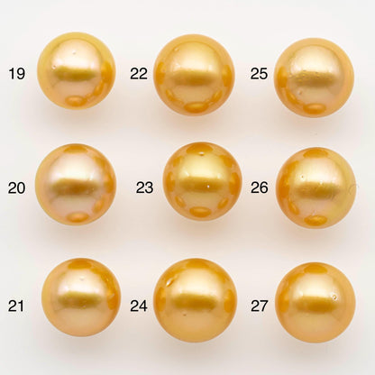 13-14mm South Sea Pearl, Gold Round Single Piece Nondrilled with High Luster and Minor Blemishes for Jewelry Making, SKU # 2572GS