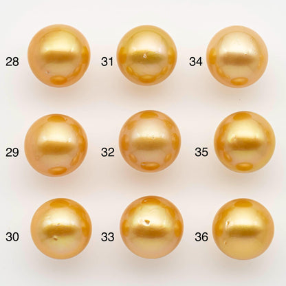 13-14mm South Sea Pearl, Gold Round Single Piece Nondrilled with High Luster and Minor Blemishes for Jewelry Making, SKU # 2572GS