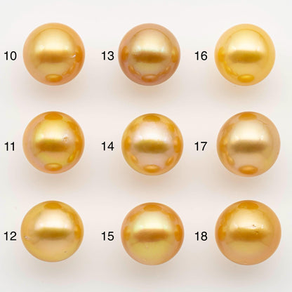 14-15mm South Sea Pearl, Gold Round Single Piece Nondrilled with High Luster and Minor Blemishes for Jewelry Making, SKU # 2573GS