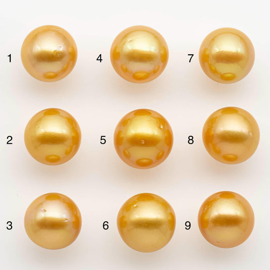 14-15mm South Sea Pearl, Gold Round Single Piece Nondrilled with High Luster and Minor Blemishes for Jewelry Making, SKU # 2574GS