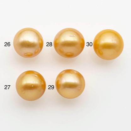 15-16mm South Sea Pearl, Gold Round Single Piece Nondrilled with High Luster and Minor Blemishes for Jewelry Making, SKU # 2575GS