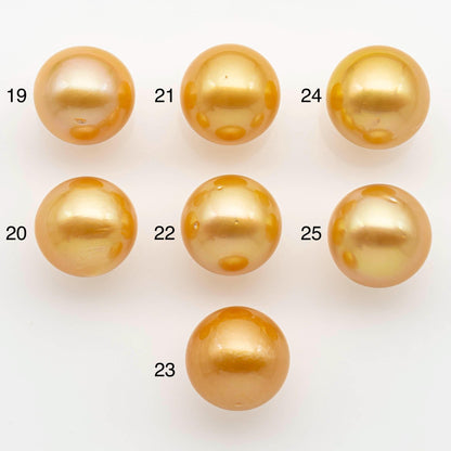 15-16mm South Sea Pearl, Gold Round Single Piece Nondrilled with High Luster and Minor Blemishes for Jewelry Making, SKU # 2575GS