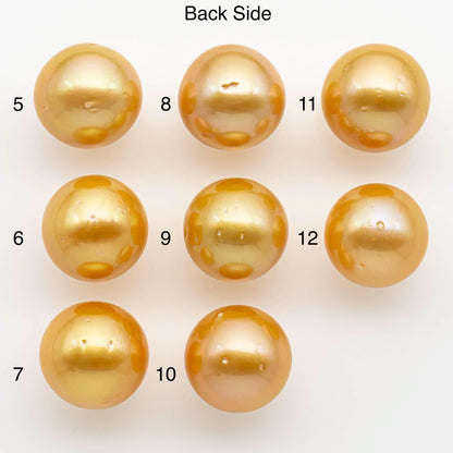 16-17mm South Sea Pearl, Gold Round Single Piece Nondrilled with High Luster and Minor Blemishes for Jewelry Making, SKU # 2576GS