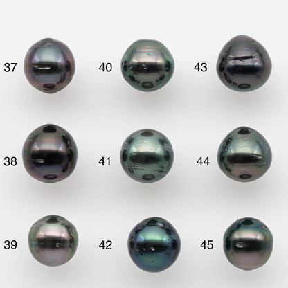 8-9mm Tahitian Pearl in Natural Color with High Luster and Minor Blemishes, One Piece Undrilled for Making Jewelry, SKU # 2579TH