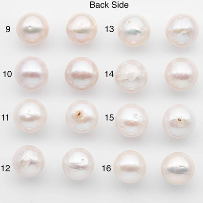 15-16mm Matching Pair Edison Pearls – White with Blemishes (Best for Stud Earrings), Undrilled, SKU #2607EP