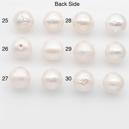 15-16mm Matching Pair Edison Pearls – White with Blemishes (Best for Stud Earrings), Undrilled, SKU #2607EP