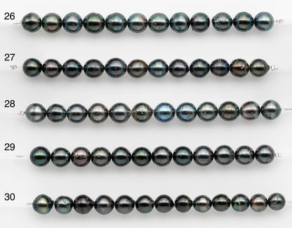 8-9mm Tahitian Pearl in Short Strand with All Natural Color with High Luster for Jewelry Making, SKU# 2658TH