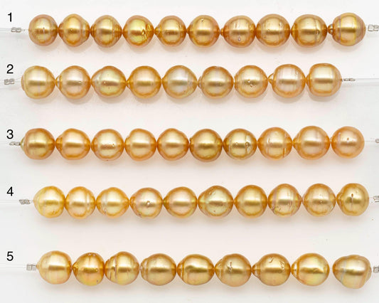 10-11mm Golden South Sea Pearls, Natural Gold Color, For Jewelry Making Necklace and Bracelet, SKU# 2671GS