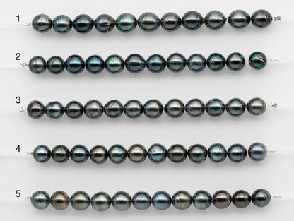 8-9mm Tahitian Pearl in Short Strand with All Natural Color with High Luster for Jewelry Making, SKU# 2658TH