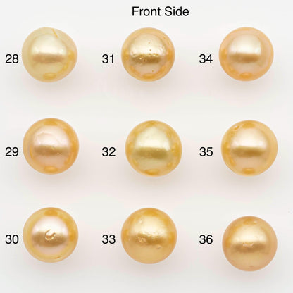 9-10mm South Sea Pearl, Gold Near Round Single Piece Nondrilled with High Luster and Minor Blemishes for Jewelry Making, SKU # 2676GS