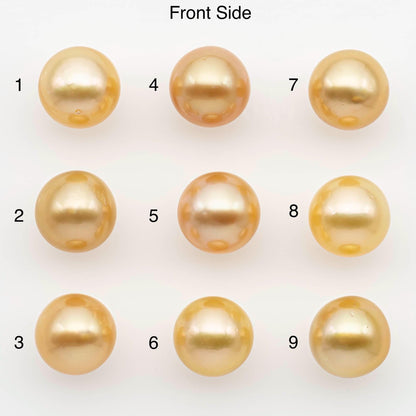 10-11mm South Sea Pearl, Gold Near Round Single Piece Nondrilled with High Luster and Minor Blemishes for Jewelry Making, SKU # 2679GS
