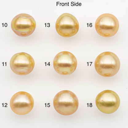 10-11mm South Sea Pearl, Gold Near Round Single Piece Nondrilled with High Luster and Minor Blemishes for Jewelry Making, SKU # 2679GS
