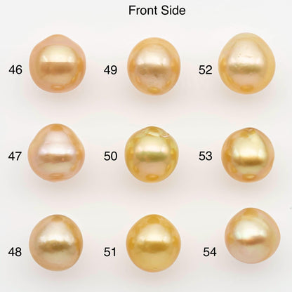 10-11mm South Sea Pearl, Gold Near Round Single Piece Nondrilled with High Luster and Minor Blemishes for Jewelry Making, SKU # 2679GS